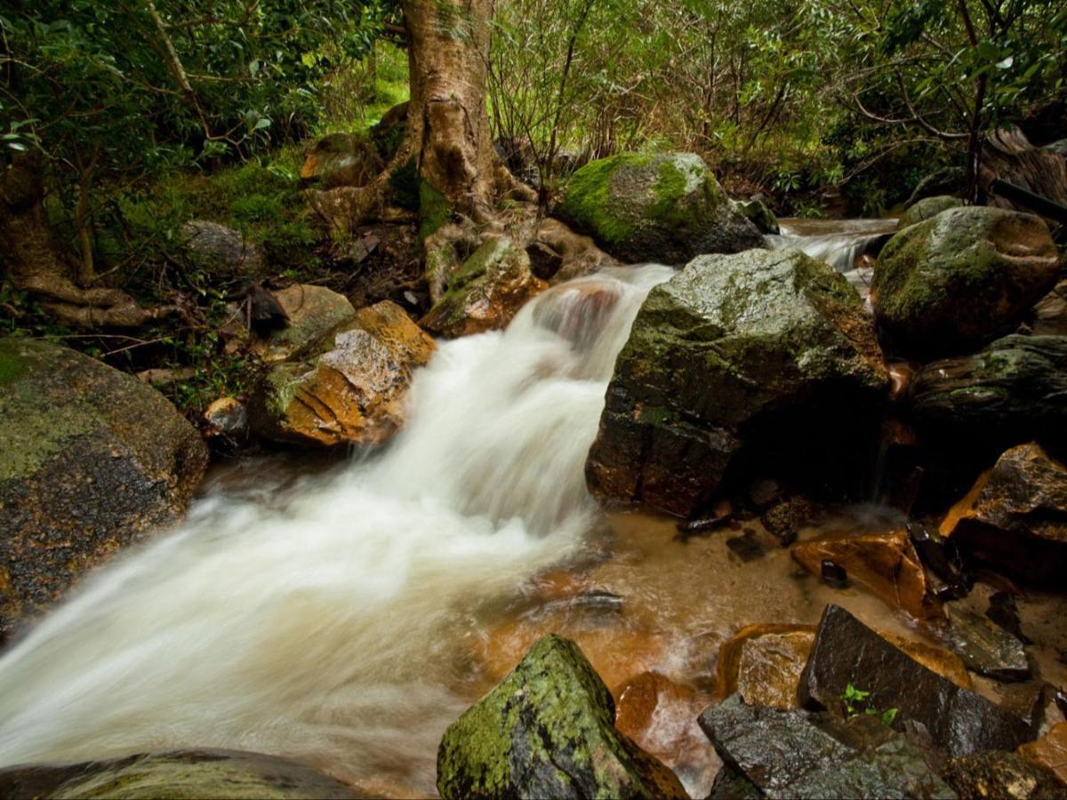 Retreat At Waterfall Valley Paarl Bagian luar foto